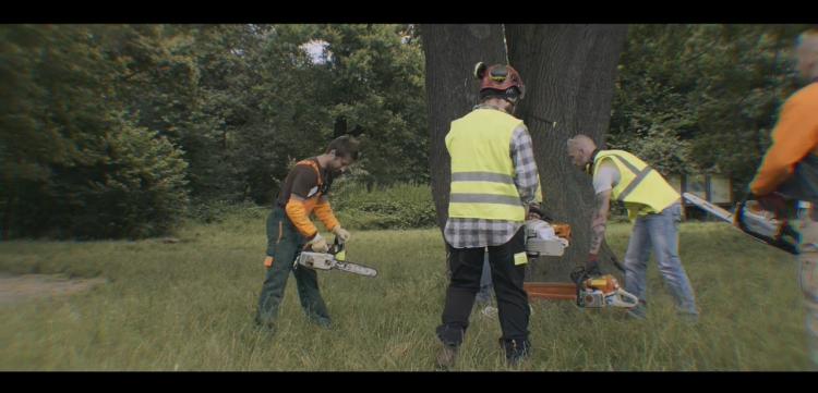 "Et si la déforestation avait lieu près de chez nous ?" & Prix Treaming - VOTEZ