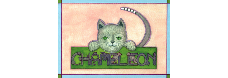 Chaméléon, littérature jeunesse solidaire !