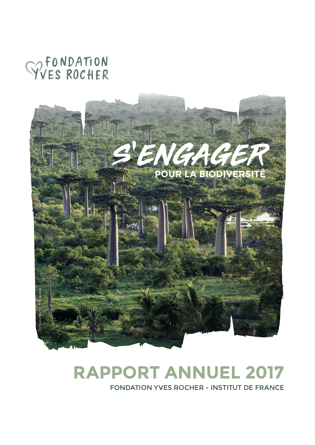 Fondation Yves Rocher - Rapport annuel 2017