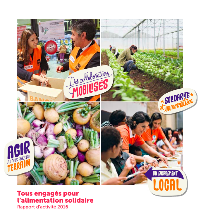 Rapport d'activité fondation carrefour 2016