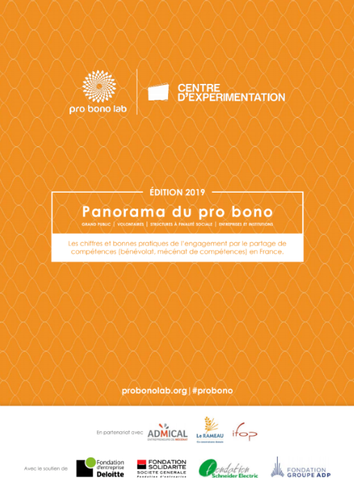 Panorama 2019 du pro bono