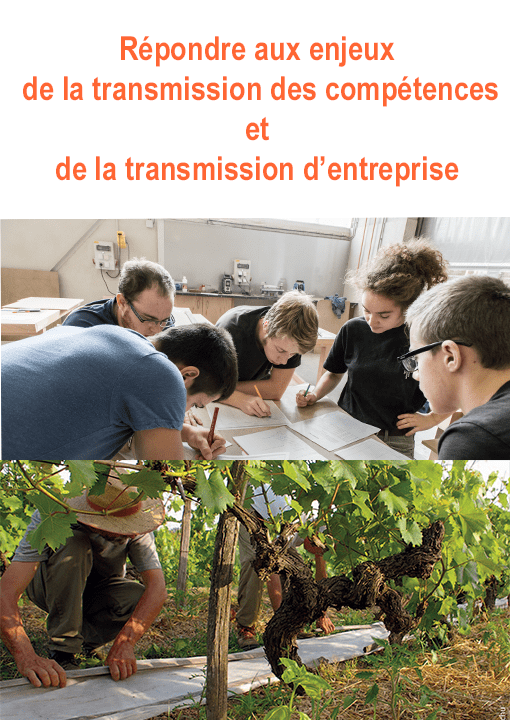 Enjeux de la transmission des compétences et des entreprises