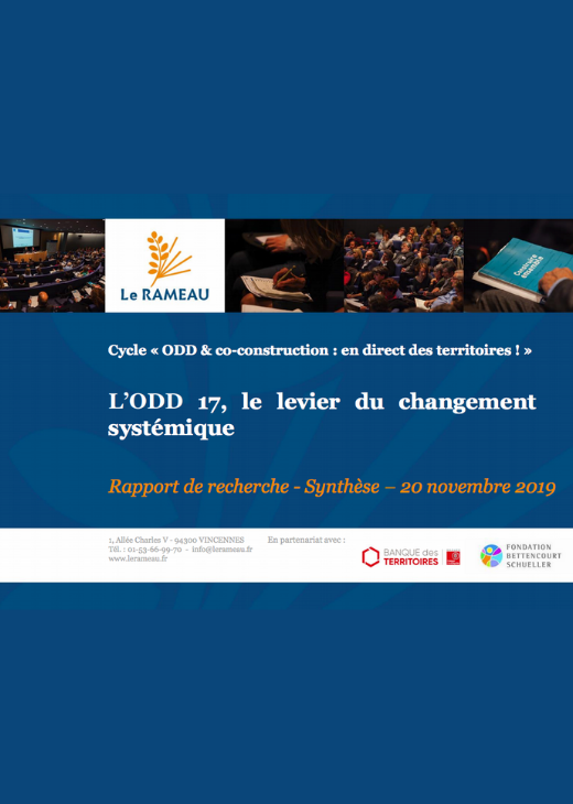 L'ODD 17, levier du changement systémique : rapport du Rameau (2019)