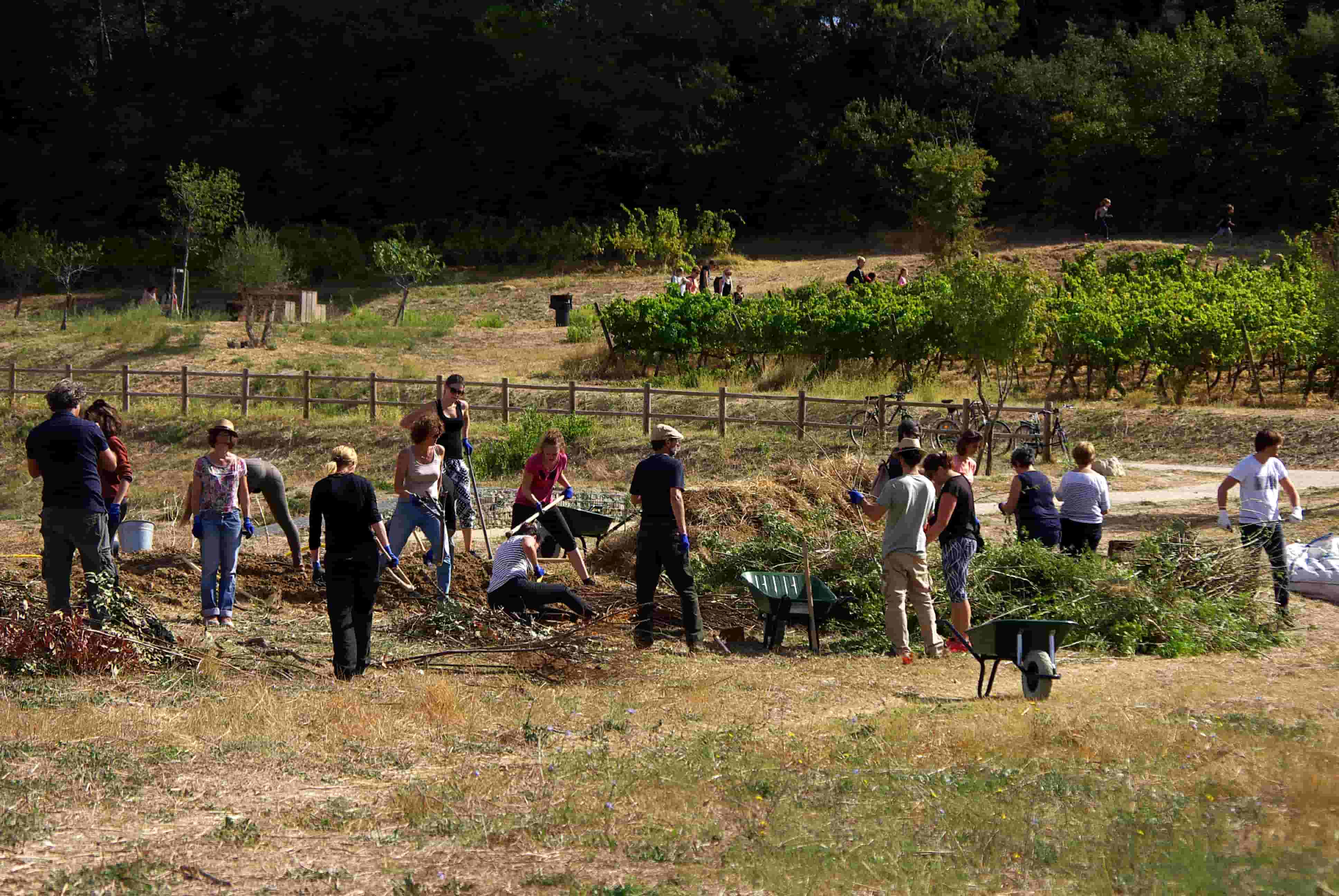 Chantier collectif d'amménagement de l'agriparc Mas Nouguier