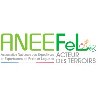 logo aneefel