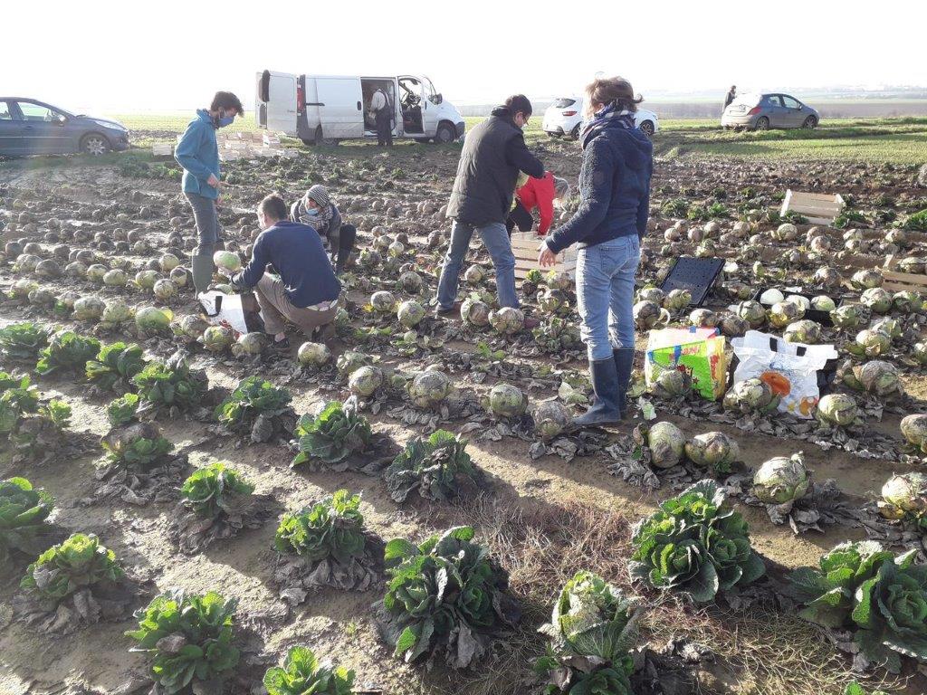 Glanage agricole