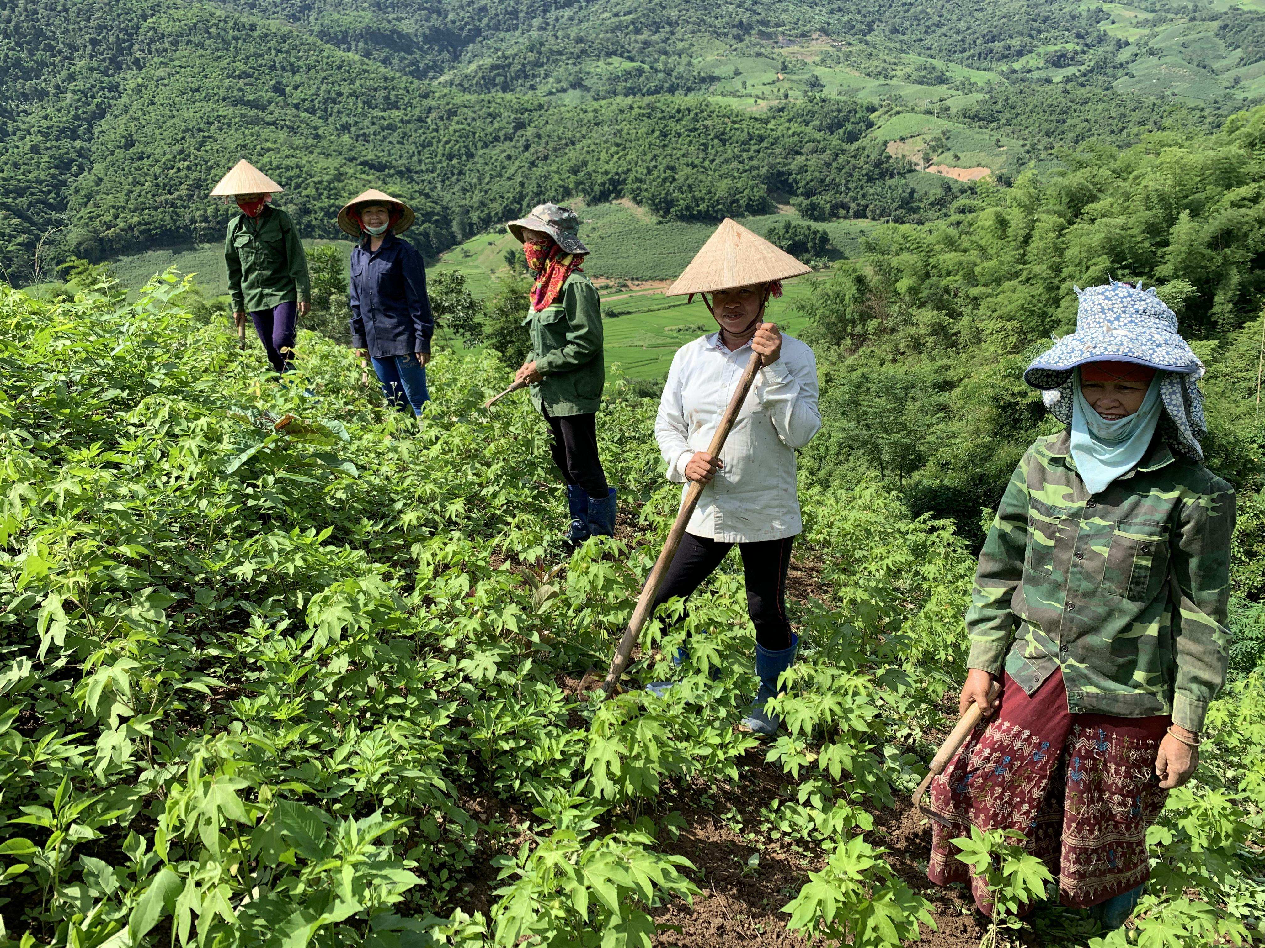 Les tisserandes Cils à Dung Kno, au Vietnam.