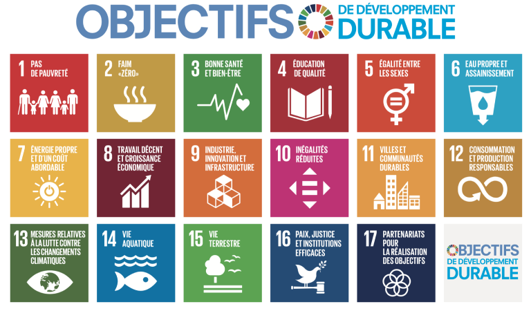 Les 17 objectifs du développement durable de l’ONU - Crédit photo : DR