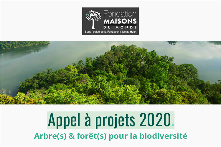 Appel à projets Arbres et forêts pour la biodiversité