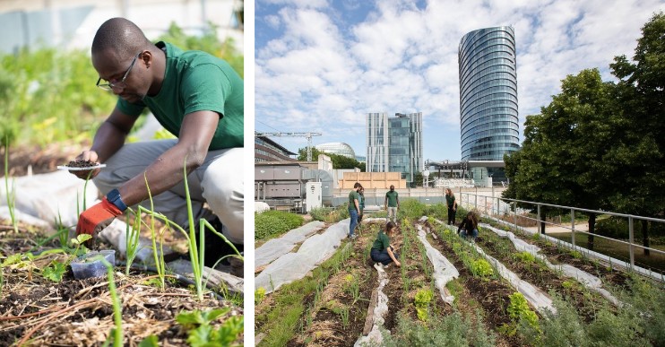 Sekou Coulibaly, post-doctorant membre de la Chaire Agricultures Urbaines de la Fondation AgroParisTech, spécialiste de l'écologie des sols