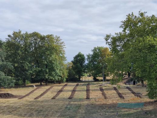 La forêt-jardin en préparation