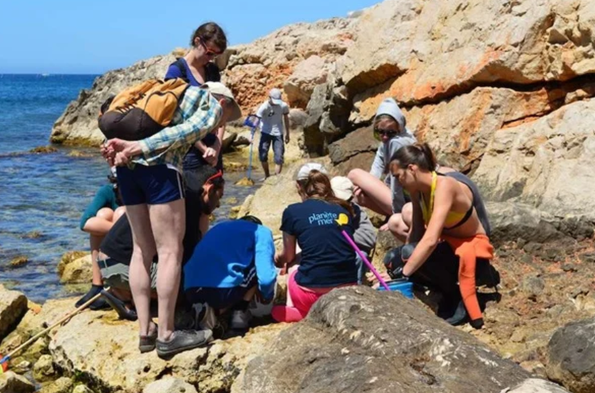 Le programme de sciences participatives Biolit, porté par le Laboratoire Planète Mer du Museum National d'Histoire Naturelle, soutient l'action collective des citoyens, scientifiques et professionnels des espaces maritimes, pour contribuer ensemble à retrouver un équilibre durable entre la vie marine et les activités humaines. © Audrey Lepetit / Planète Mer