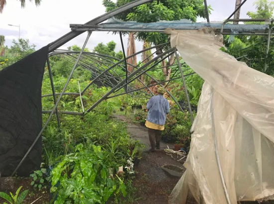 L’ADIE Mayotte accompagne cette entrepreneuse dont le jardin potager a été entièrement détruit par le cyclone.