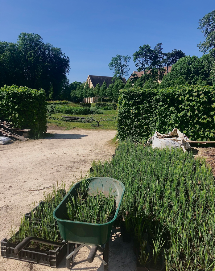 Potager-Jardin de la Fondation Royaumont. Crédit : Groupe ADP