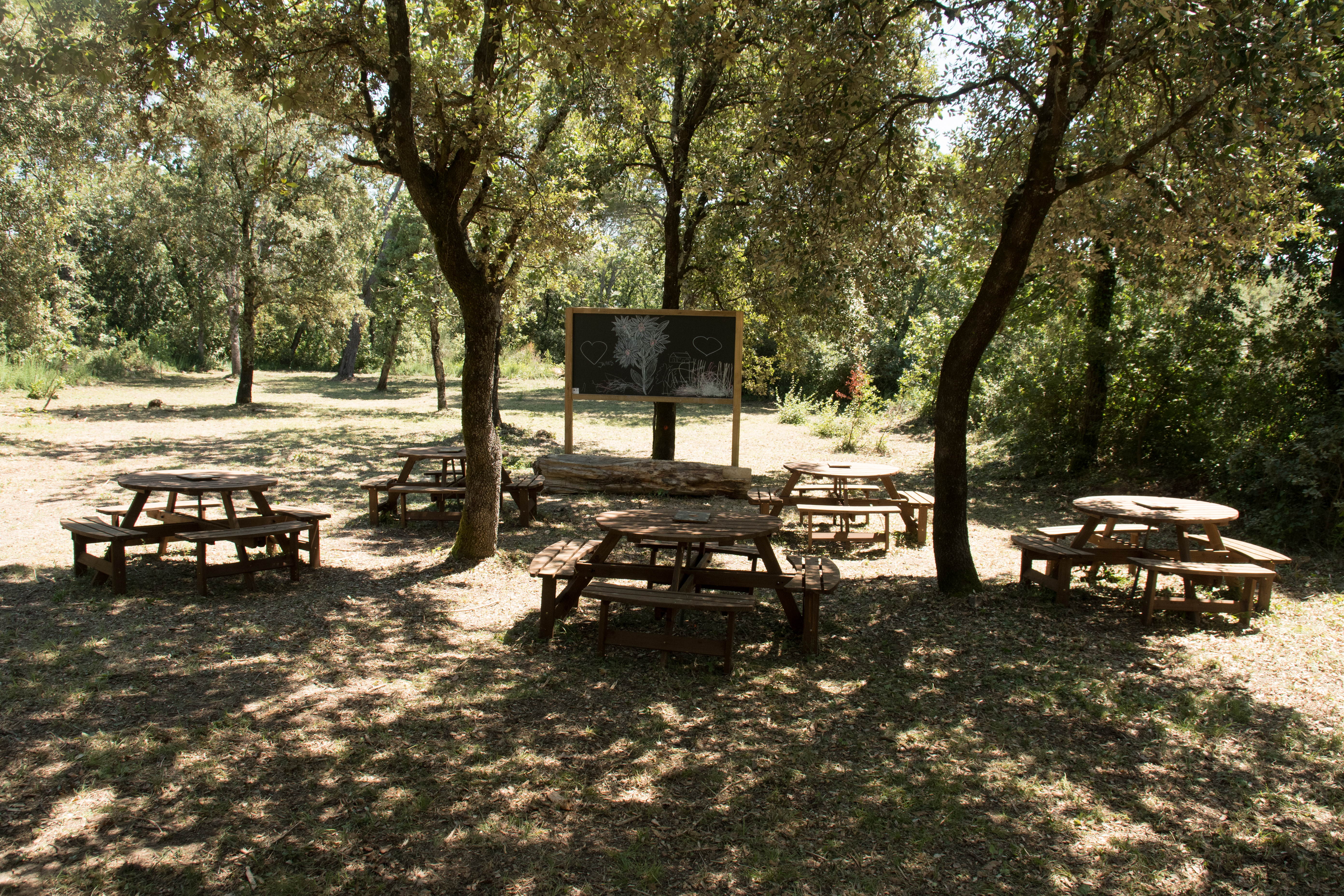 Forêt école