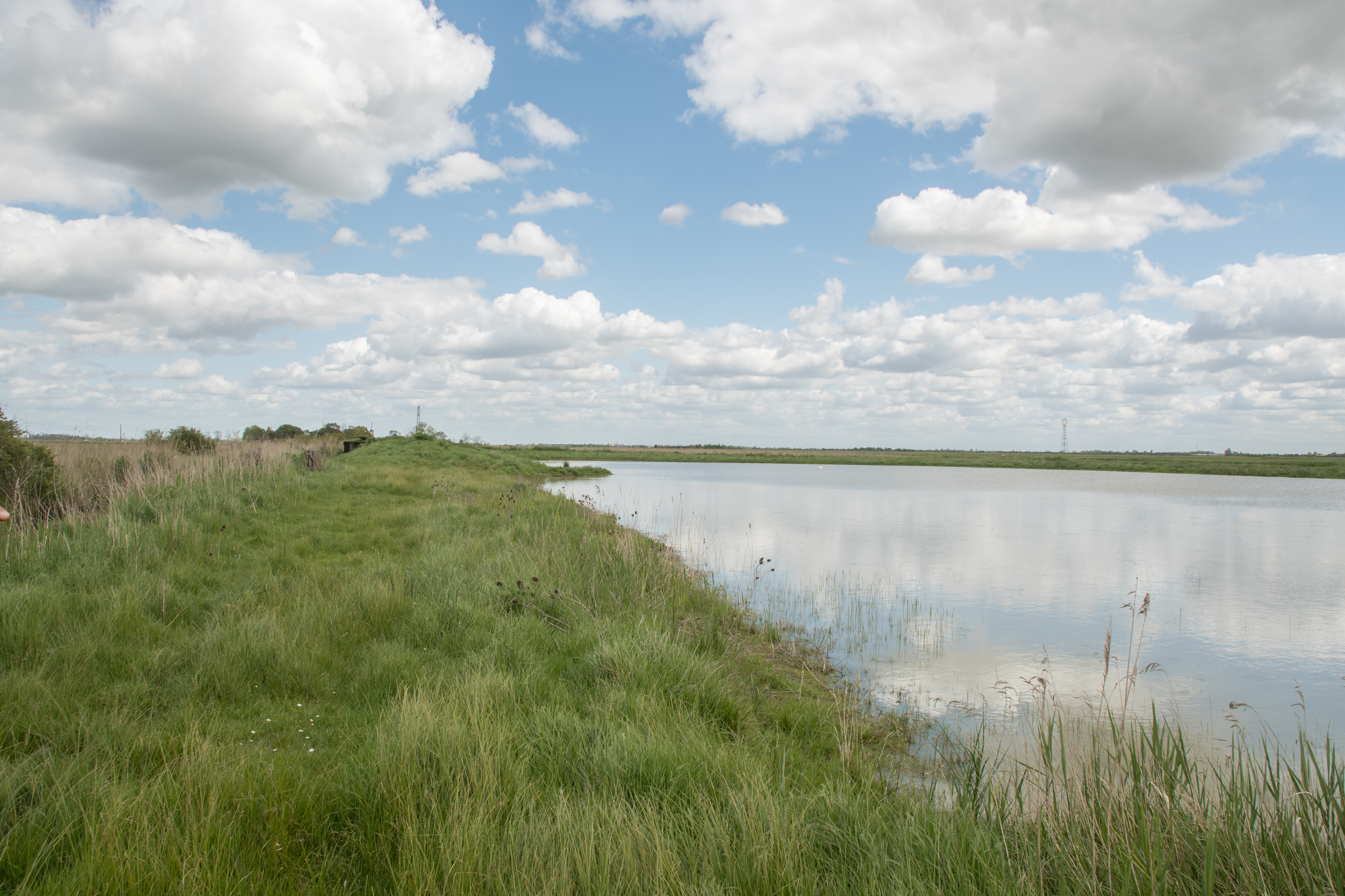Marais de la vacherie