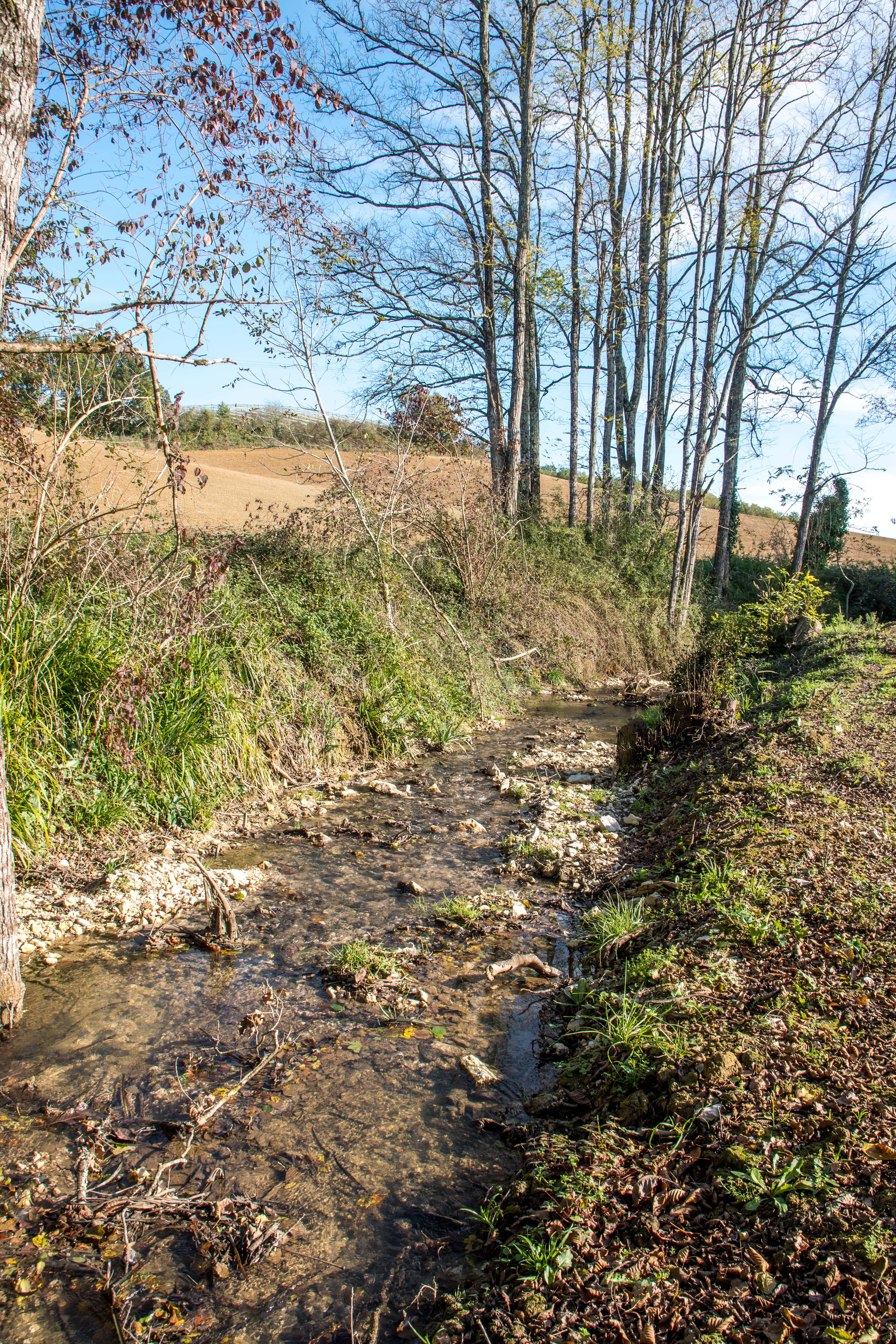 Environnement - Bassin du Lemboulas