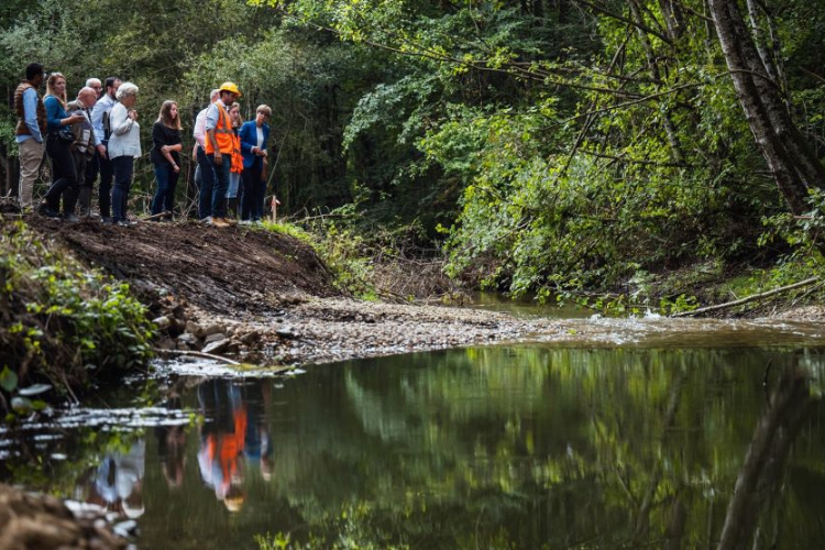 Le Lathan (Maine-et-Loire), le lieu d'un projet de renaturalisation du dividende. Crédit : David Priou 