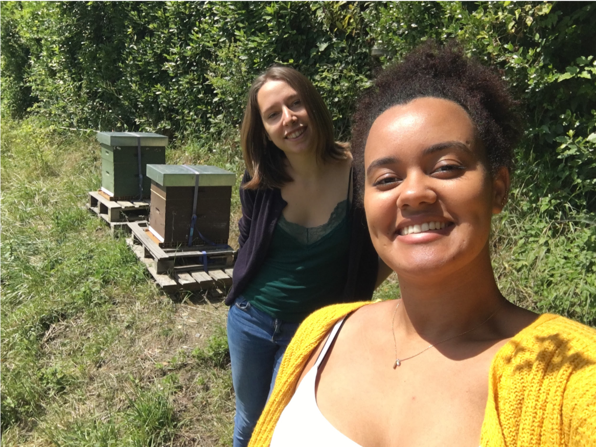 Les deux étudiantes de l’Icam site de Toulouse devant les ruches installées à l’ESAT Maniban.