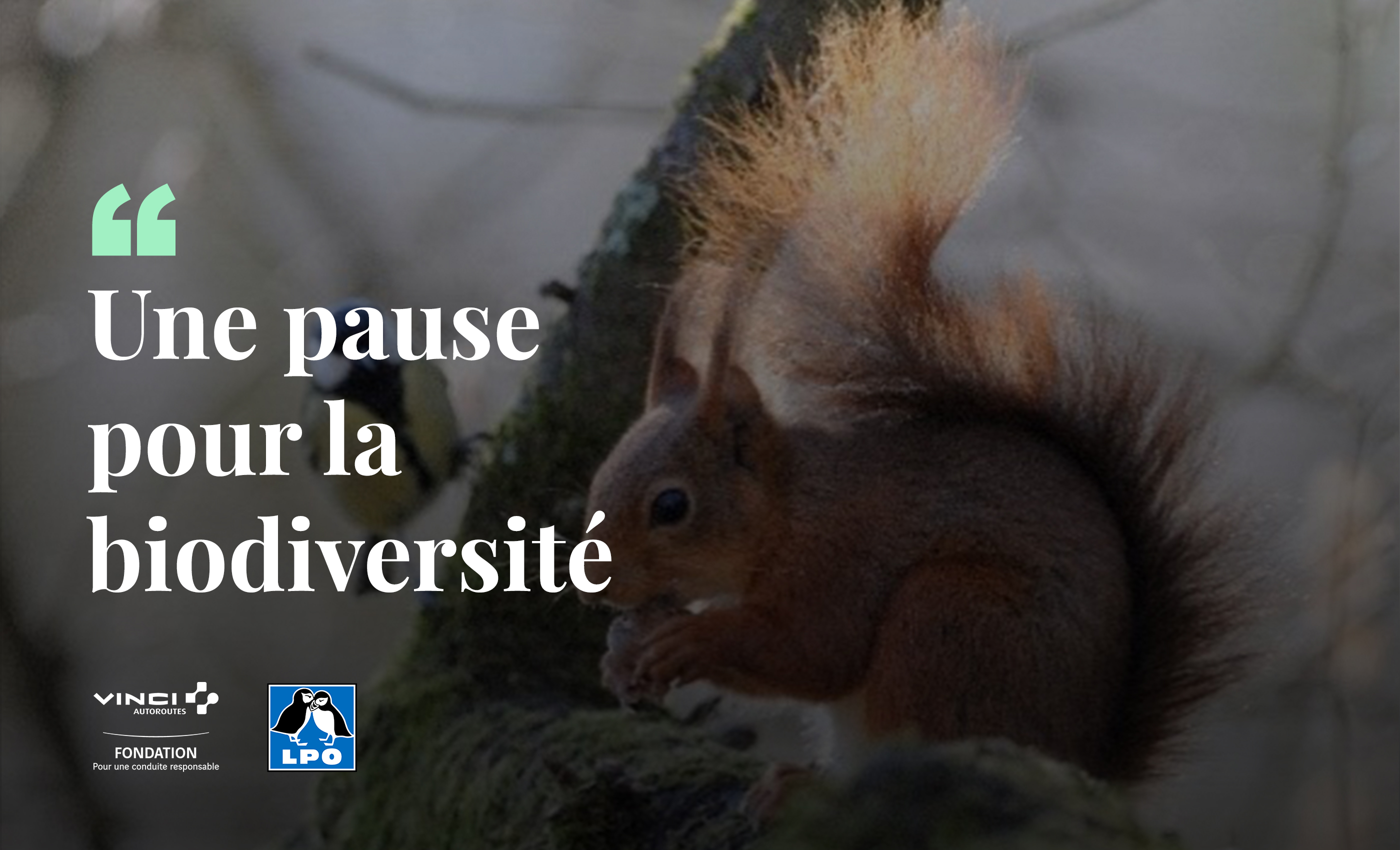 Une pause pour la biodiversité avec la LPO