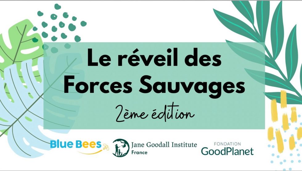 Réveil des forces sauvages