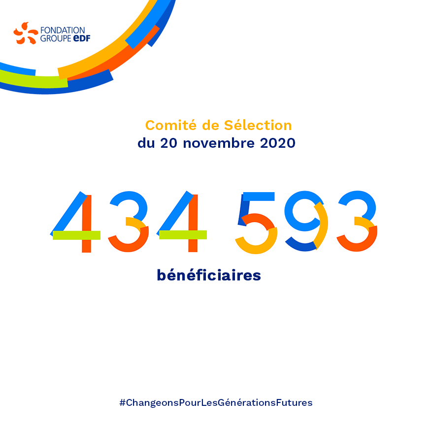 Comité de sélection de la Fondation groupe EDF du 20 novembre 2020