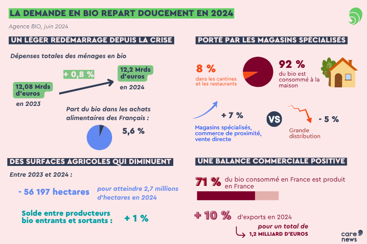 infographie marché du bio 2024