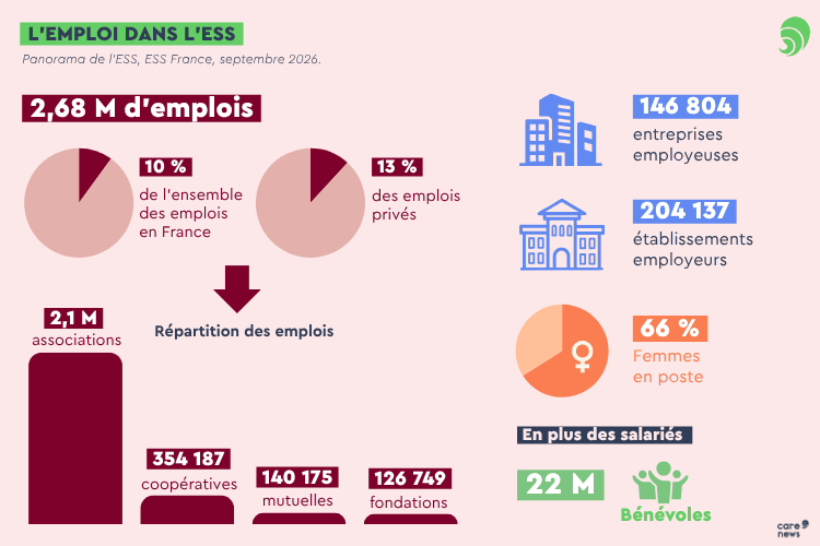 Infographie panorama de l'ess