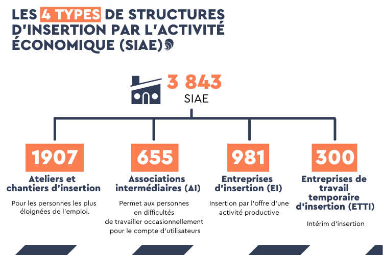 Les structures de l'IAE. 