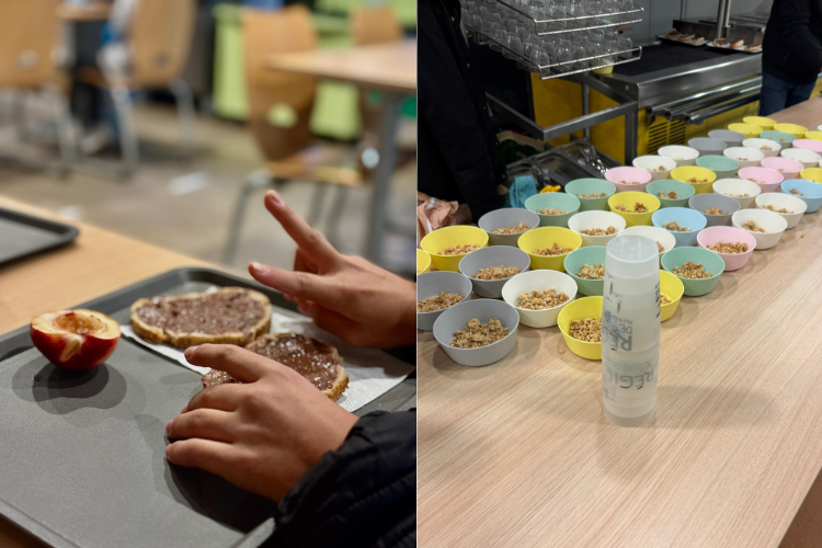 La Régie de Quartiers Noailles-Belsunce