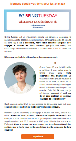 Newsletter Giving Tuesday