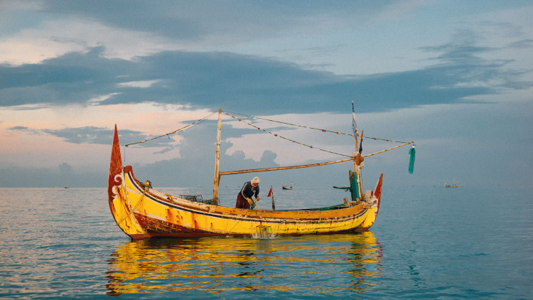 Pêcherie au casier du crabe bleu nageur de l'Ile Madura en Indonésie