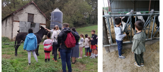 visites fermes pédagogiques ANDES