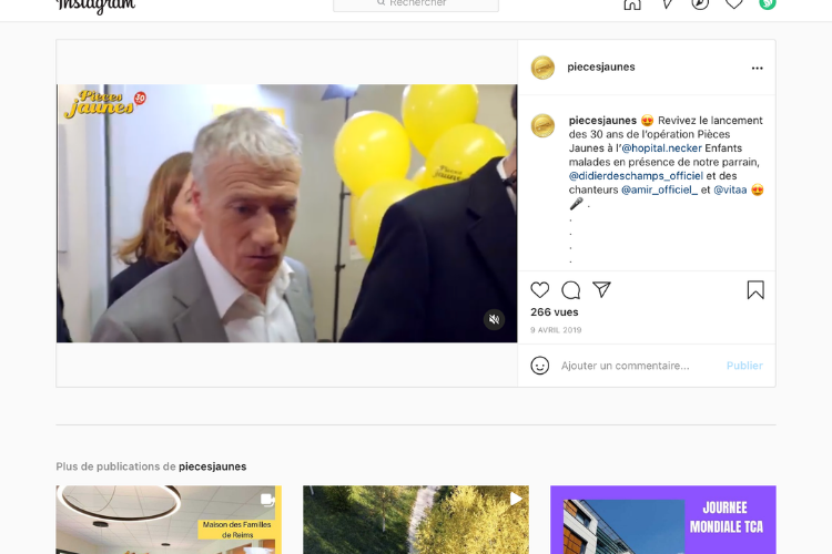 Copie d'écran : Instagram Pièces Jaunes 