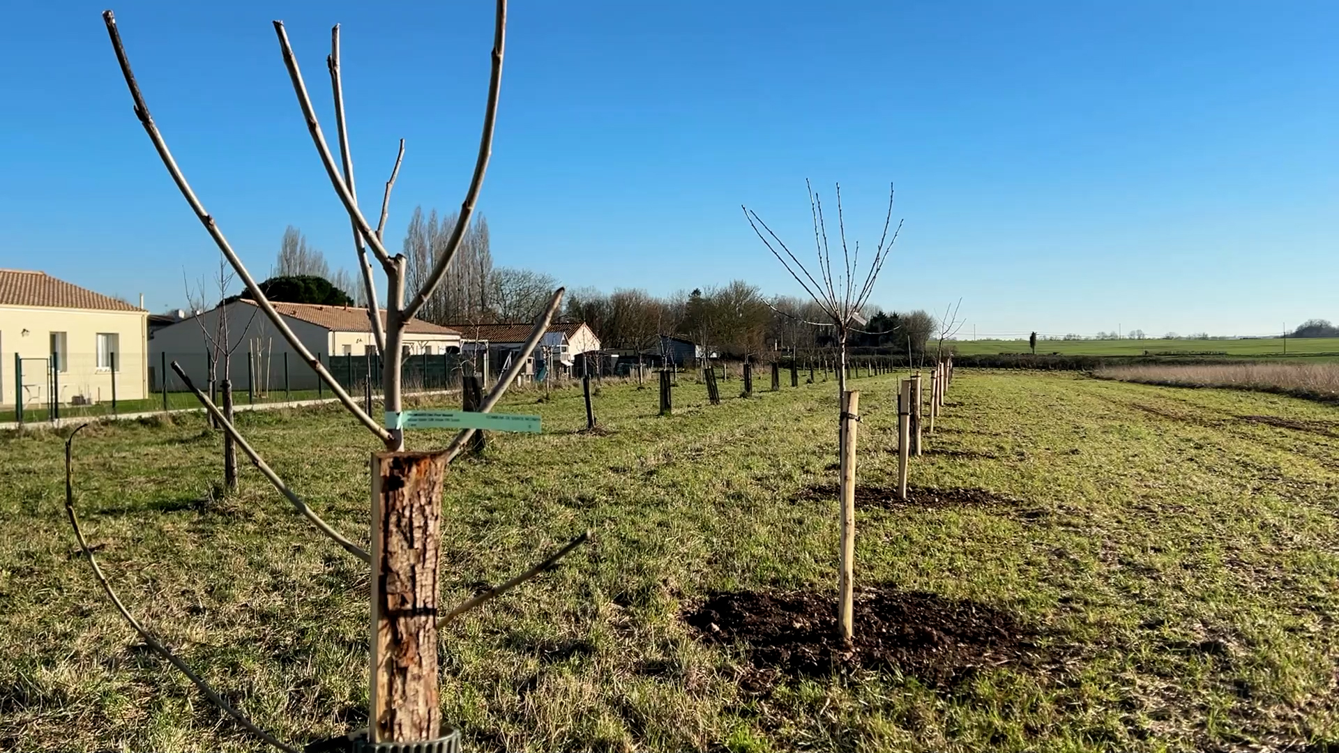 Biodiversité - Verger - Sainte-Néomaye (79)
