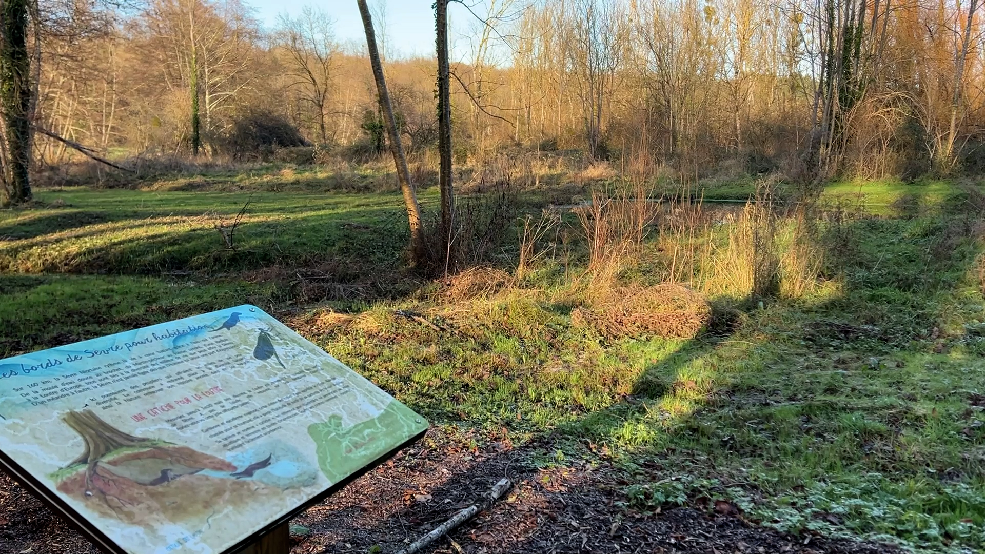 Biodiversité - Sainte-Néomaye (79)