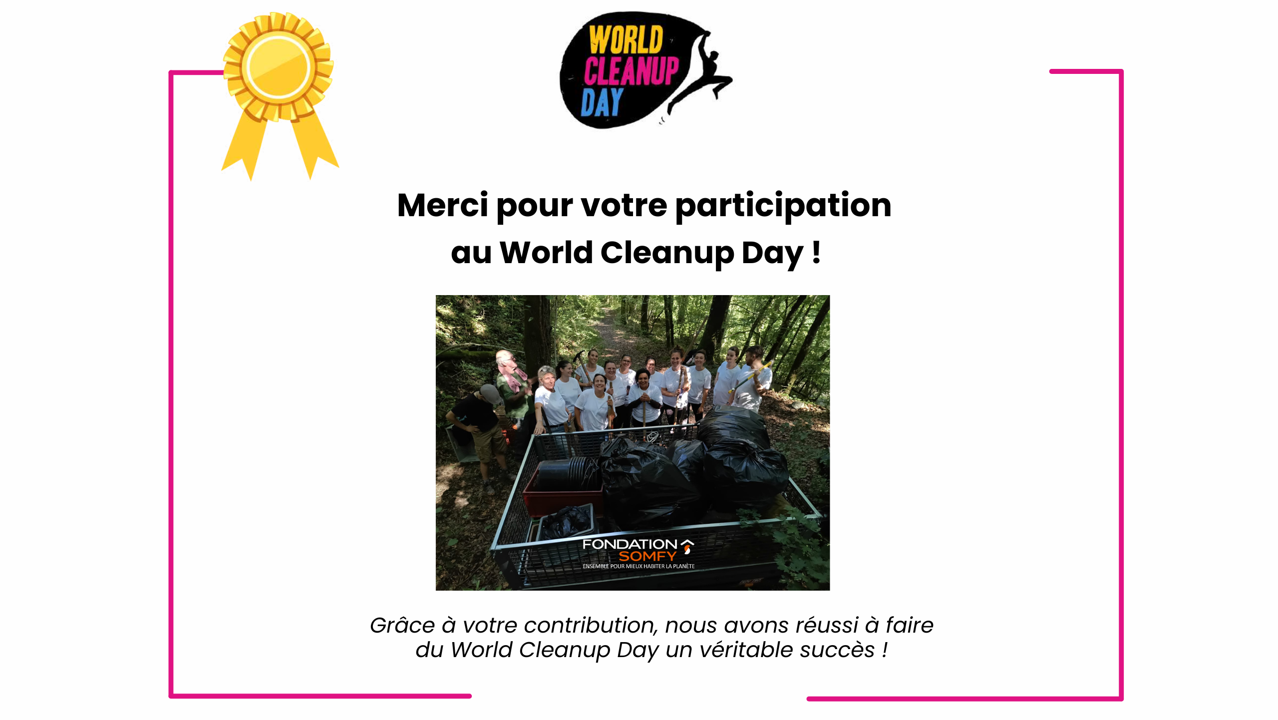 Diplôme de participation World Cleanup Day Fondation SOMFY Apollon74