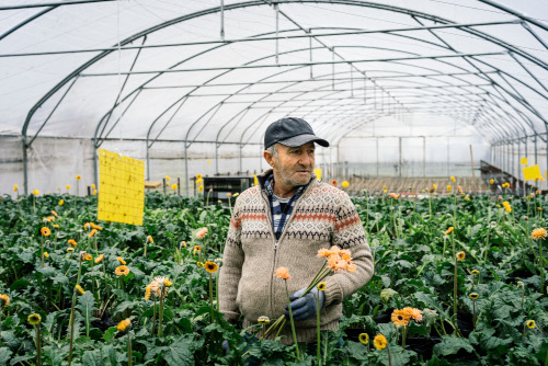 La Fondation Terre Solidaire soutient Fleurs d'Halage