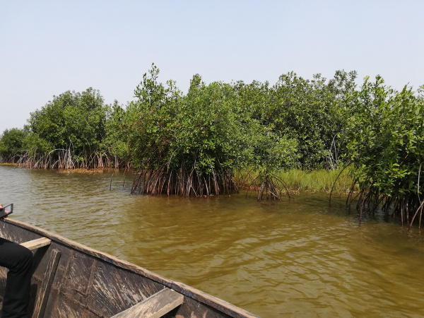 WACA Resip: Depuis Anyronkopé, opération sauvetage  du lac Boko-Zowla - Togo first.