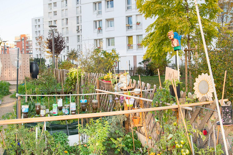 potager rue de la solidarité / Crédit photo : Mary-lou Mauricio