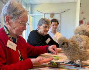 Des personnes âgées en Ehpad interagissent avec des poules en leur donnant à manger sur une table