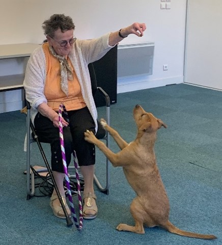 Une personnes âgée assise joue avec un chien qui se lève sur ses deux pattes arrière