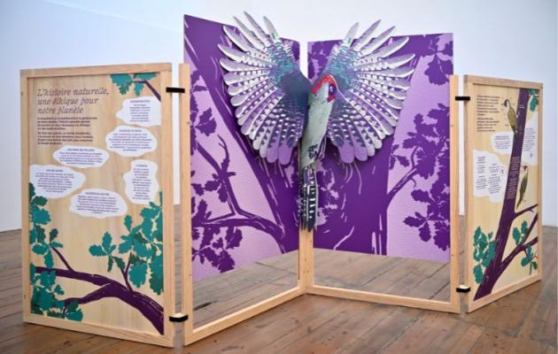 Les Pop'up de l'Histoire naturelle, un mini Muséum à votre