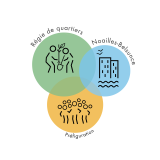 Régie de quartier de Noailles-Belsunce