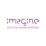 Institut Imagine