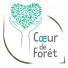 Volontariat Madagascar - Diagnostic forestier