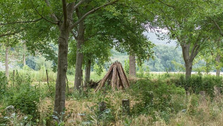 Appel à projets sur les recherches liées à l'agroforesterie. Crédit photo : Fondation de France