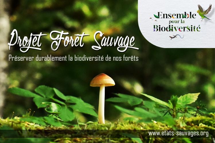 Forêt Sauvage sélectionné par Ensemble pour la Biodiversité
