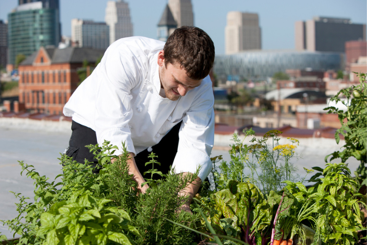 Trois raisons de soutenir le développement de l'agriculture urbaine. Source : iStock.