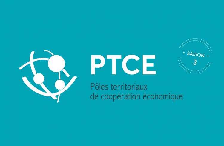 Pôles territoriaux de coopération économique (PTCE) : un remède à la crise ?